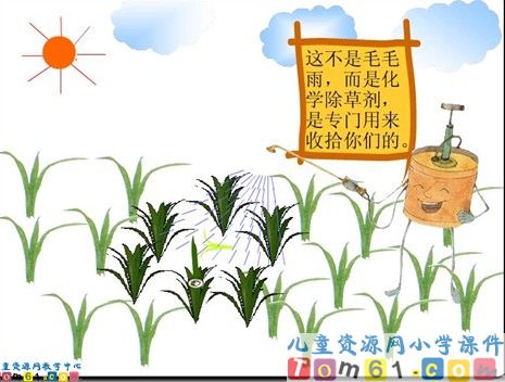 小稻秧脱险记课件3