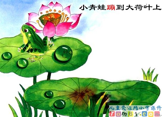 小露珠课件3