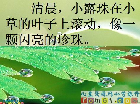 小露珠的梦课件8