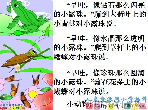 小露珠课件6