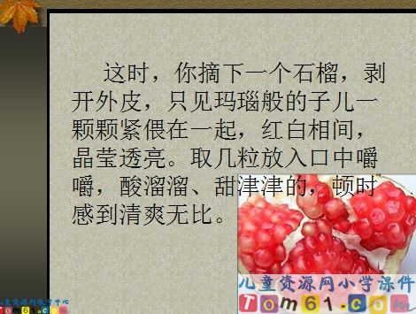 石榴课件8