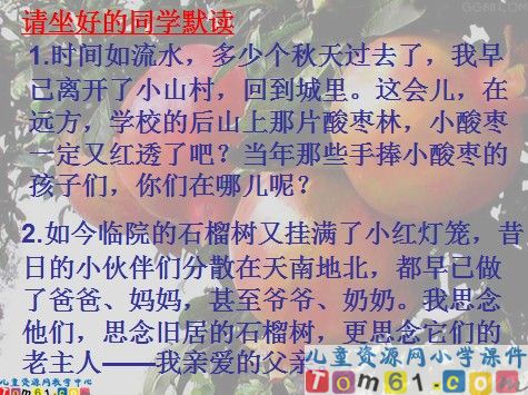 石榴又红了课件4