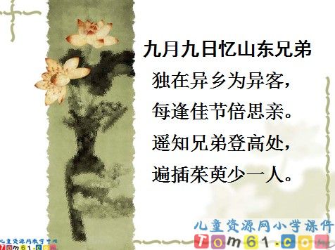 每逢佳节倍思亲课件7