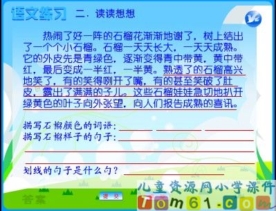 石榴课件1
