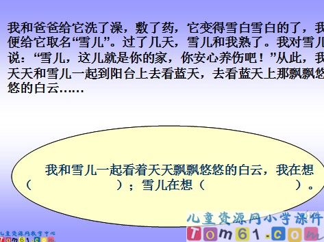 雪儿课件7