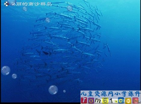 美丽的南沙群岛课件9
