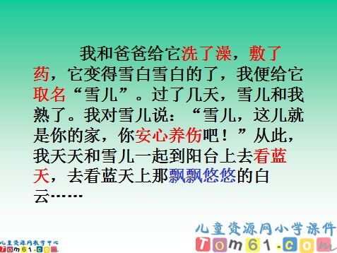 雪儿课件3