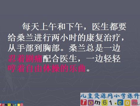 微笑着承受一切课件8