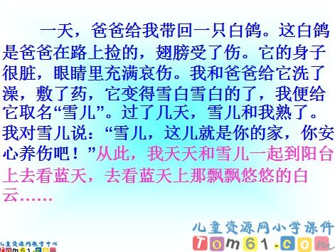 雪儿课件8