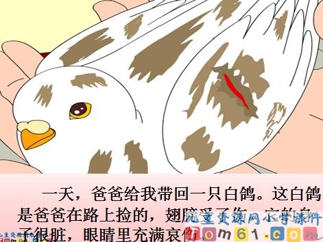 雪儿课件1