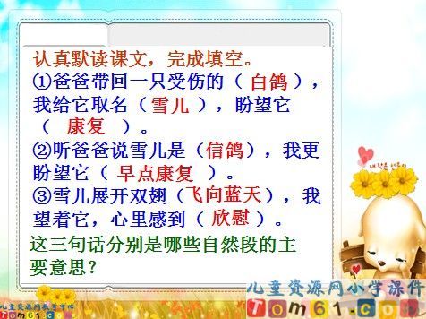 雪儿课件2