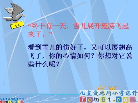 雪儿课件11