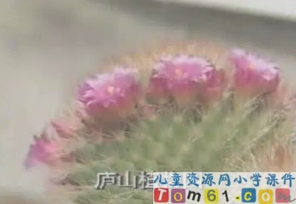 庐山的云雾视频素材3