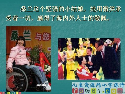 微笑着承受一切课件11