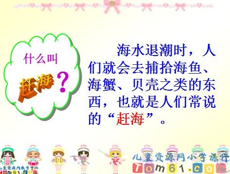 赶海课件4