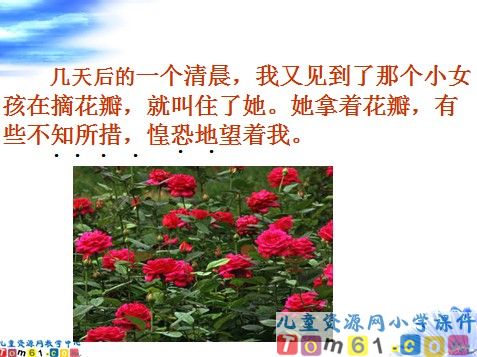 花瓣飘香课件6