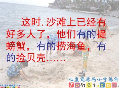 赶海课件6