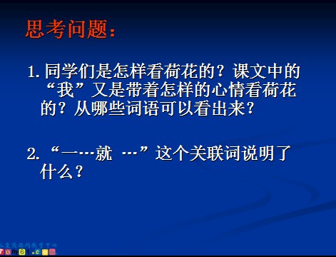 荷花课件4