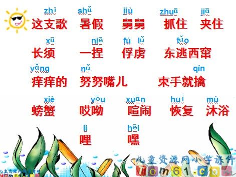 赶海课件4