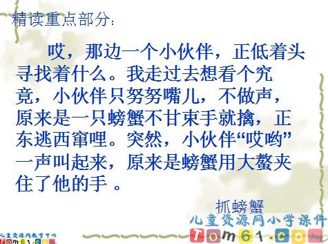 赶海课件9