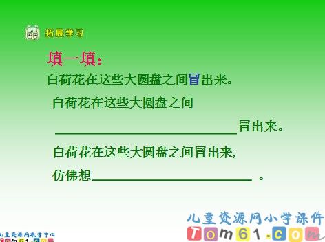 荷花课件9