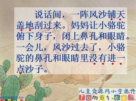 我应该感到自豪才对课件1