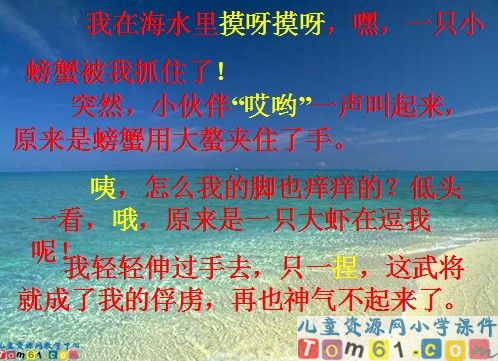 赶海课件12