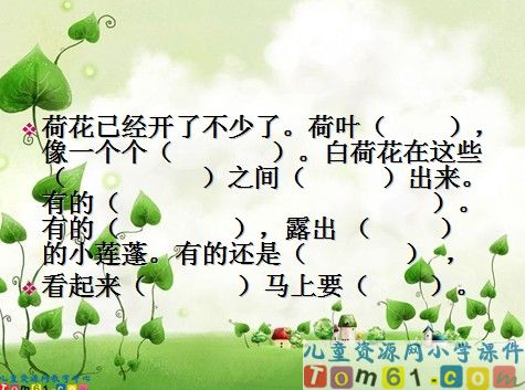 荷花课件2