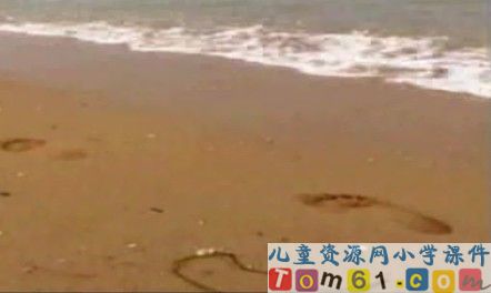 赶海视频素材3