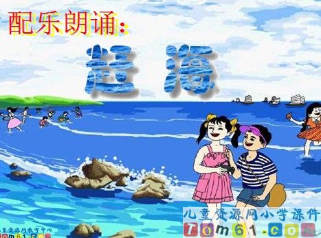 赶海课件11