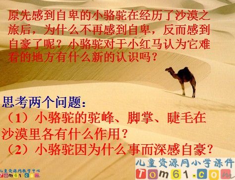 我应该感到自豪才对课件15