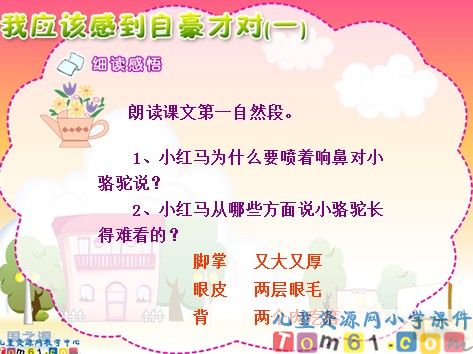 我应该感到自豪才对课件13