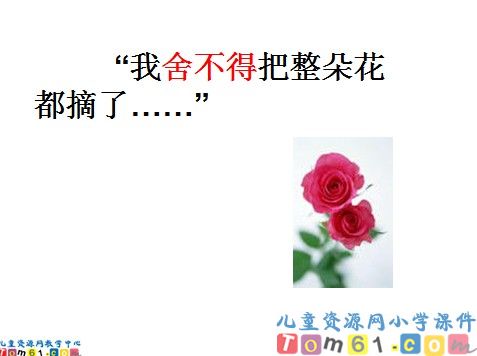 花瓣飘香课件9