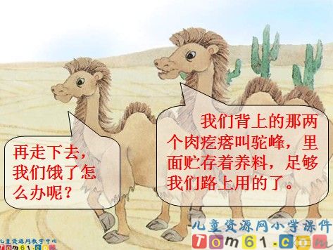 我应该感到自豪才对课件6