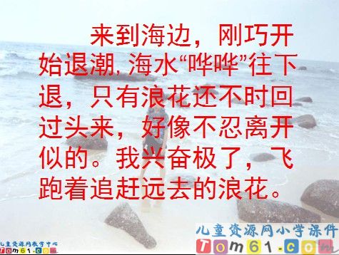 赶海课件8