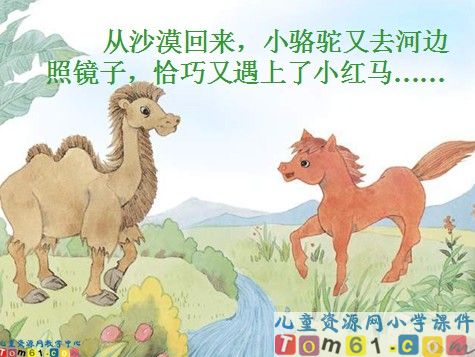 我应该感到自豪才对课件16
