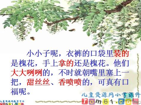 槐乡五月课件11