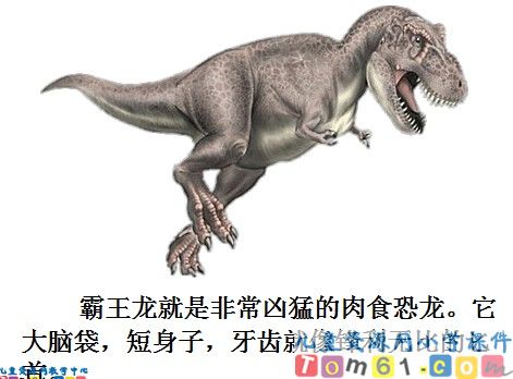 恐龙课件8