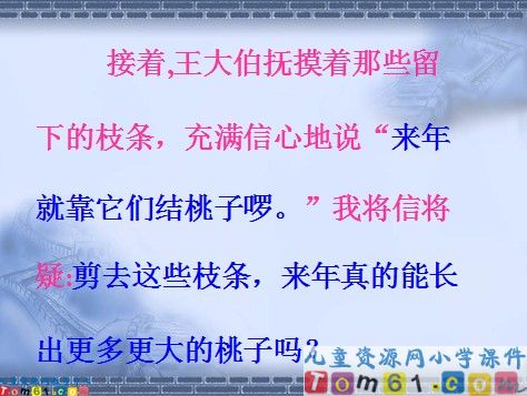 剪枝的学问课件1