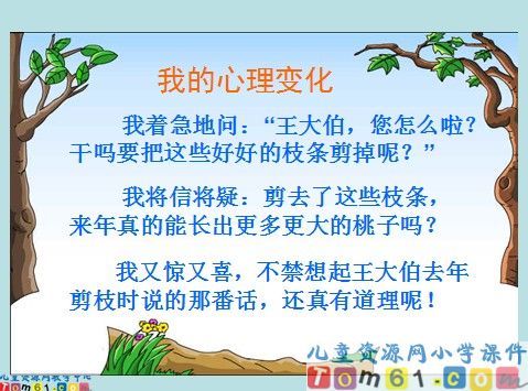 剪枝的学问课件2