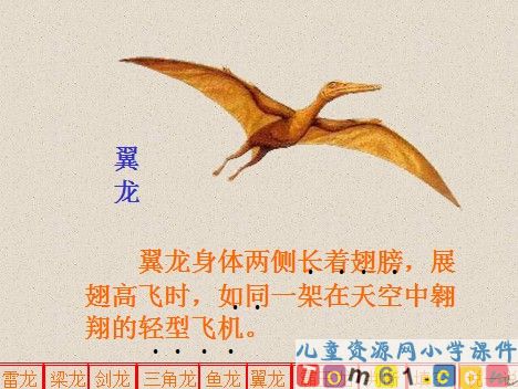 恐龙课件5
