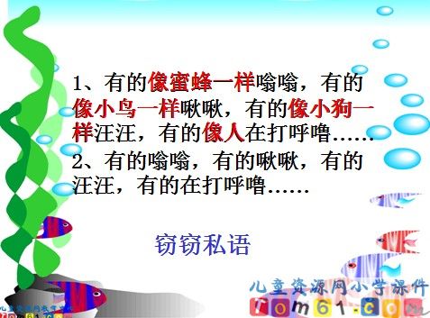 海底世界课件10