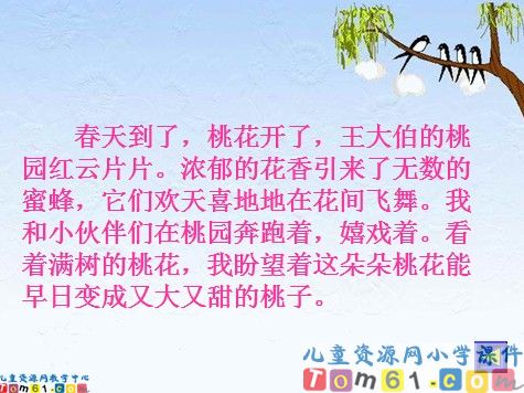 剪枝的学问课件13