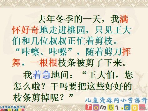 剪枝的学问课件7