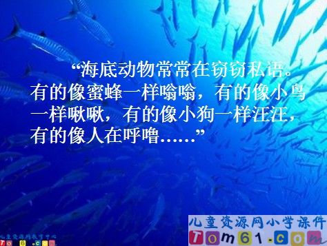 海底世界课件5