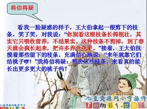 剪枝的学问课件3
