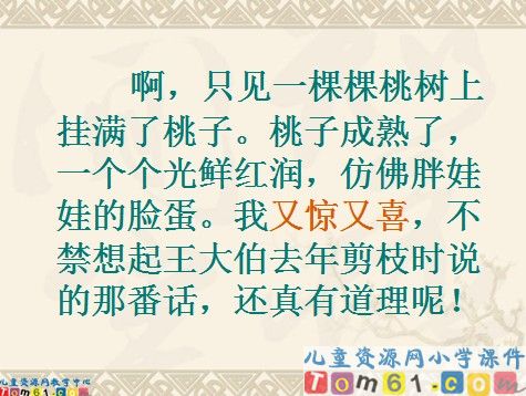 剪枝的学问课件11