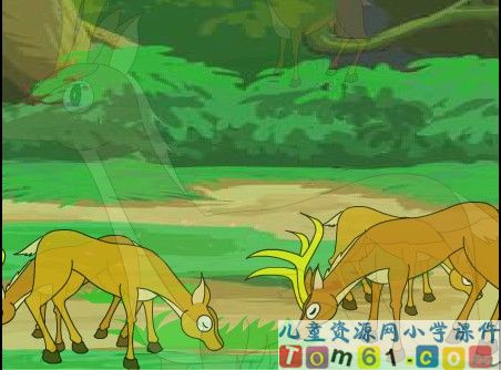 狼和鹿课件12
