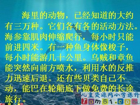 海底世界课件8