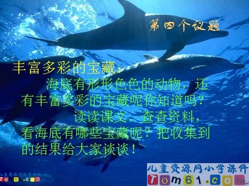 海底世界课件12